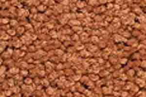 Ковролин Girloon Body1 701 фото  | FLOORDEALER